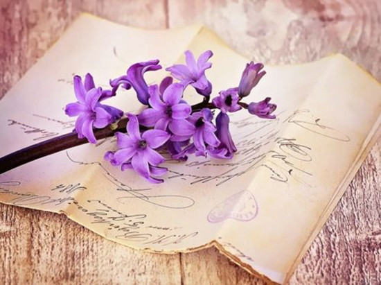 ������Ц��������һ�˹¶���������ʲô�� ������������