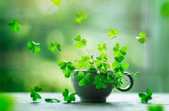 �μ�ɱ������ʲô��˼ �μ��Լ�ɱ������ʲô��ͷ