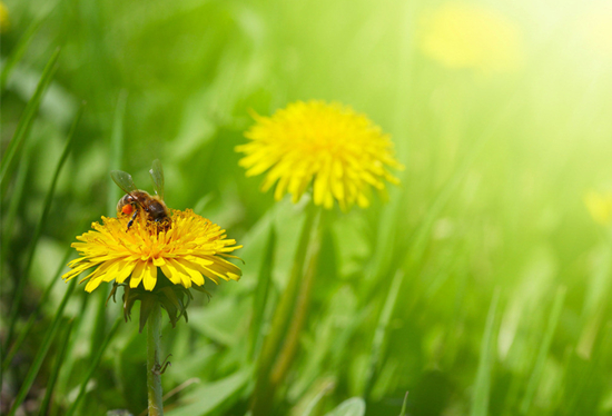 �μ�ɱ������ʲô��˼ �μ��Լ�ɱ������ʲô��ͷ