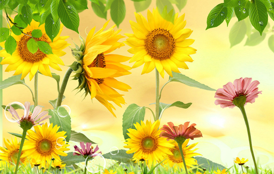 �μ��Լ�������ʲô��˼ �μ��Լ�������ʲô����