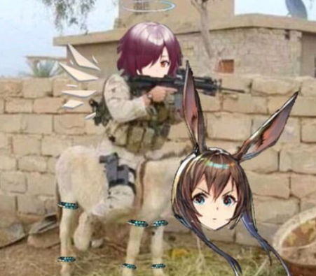 ����¿ʲô�� ����¿�����