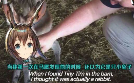 ����¿ʲô�� ����¿�����