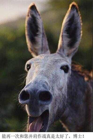 ����¿ʲô�� ����¿�����