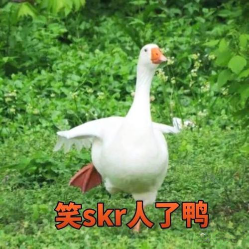ʲô˼ ʲô