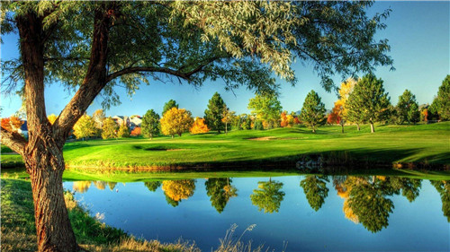 最旺财的微信头像带来好运 什么头像不能乱用