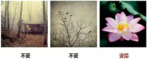 什么头像可以带来好运 微信用什么头像招财好运