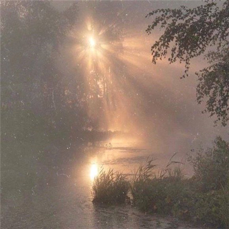 ������˯�Ҳ�˯ �����˼�С��ζʲô��˼