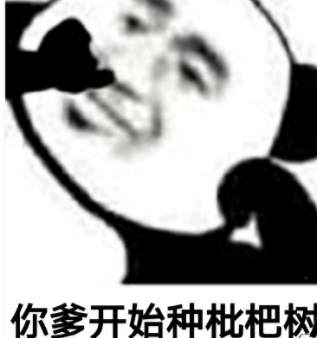 �������������ʲô��˼ �������������ʲ