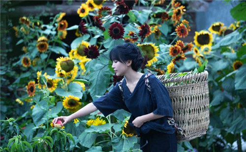 ���������Ƶ��˭�ĵ� ��������Ƶ������Լ��ĵ���