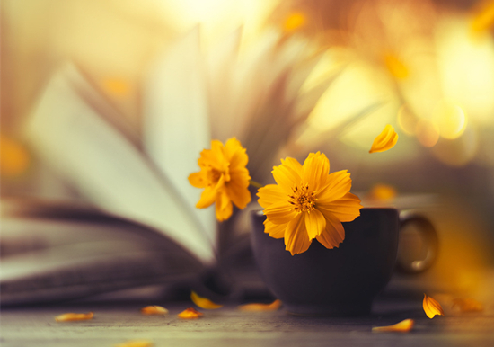 ����ѹ������ʲôԤ�� ����ѹ�����Ǽ�������