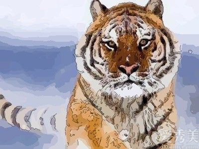 1998年属虎人2021年运势男女性 98虎的今年每月运势
