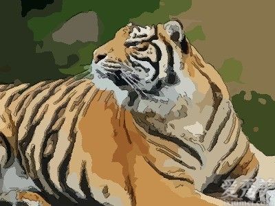 1998��������2021��������Ů�� 98���Ľ���ÿ������