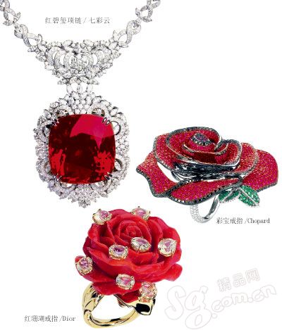 ����鱦 ������������