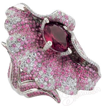 ����鱦 ������������