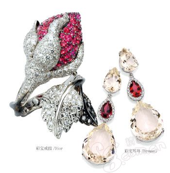 ����鱦 ������������