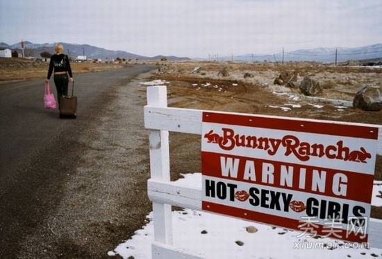 ʵ������ɳĮ��Ĺ��Ϻ����