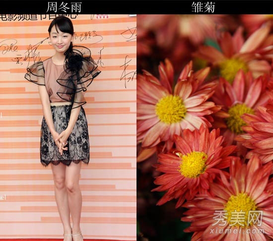 �ٺϽ�Ⱥ���� �����������ȹװ���