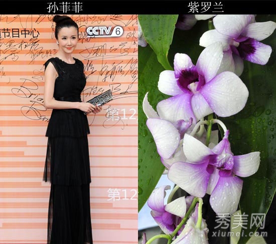 �ٺϽ�Ⱥ���� �����������ȹװ���