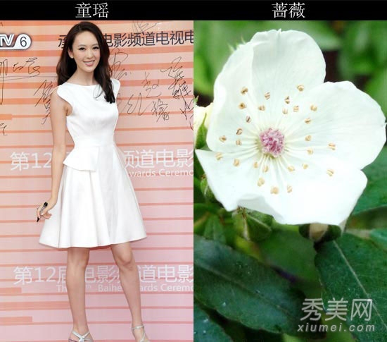 �ٺϽ�Ⱥ���� �����������ȹװ���