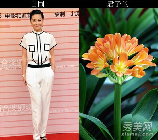 �ٺϽ�Ⱥ���� �����������ȹװ���