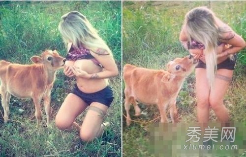 巴西波霸模特露双乳喂食小牛犊