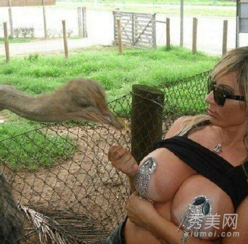 巴西波霸模特露双乳喂食小牛犊