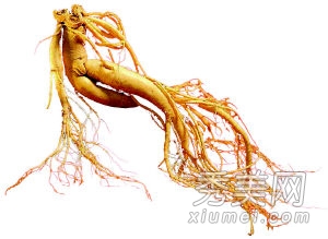 14����Ѵ���ʳ�� ����׳��������