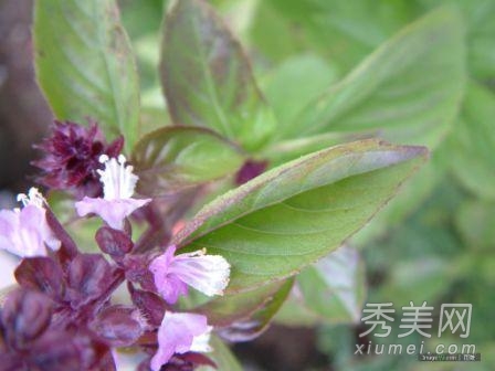 14����Ѵ���ʳ�� ����׳��������