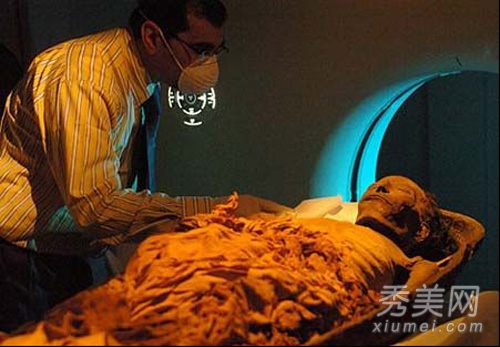 ���Ǻ������ǵĻ�!Ů��Ĺ�ء�׽�������Ų�