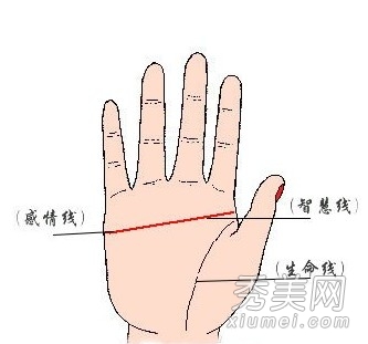 ���˶����� ���˶����ƺò���