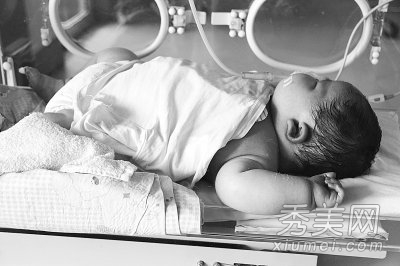 200������������Ӥ ���ھ޴�Ӥ���̵�