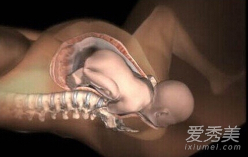 图揭:孕妇生孩子全过程