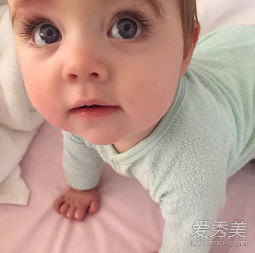 澳洲超萌大眼宝宝照片引十万人点赞