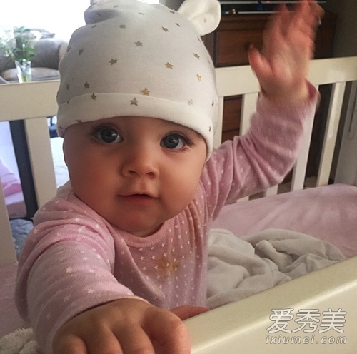 澳洲超萌大眼宝宝照片引十万人点赞