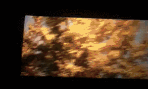 ���������ش�߶ȴ�Ϸ ��������������Ҳ����