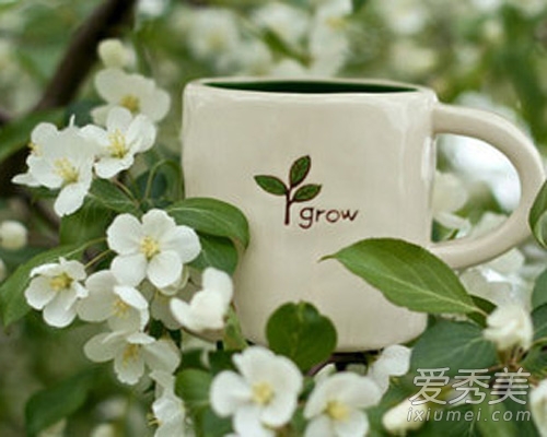 一周瘦10斤!荷叶减肥茶这样喝减肥最有效