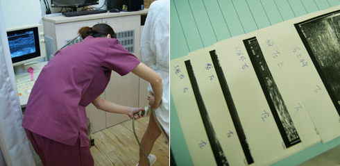 ���룡ʵ������֬����������ȫ��_����֬������