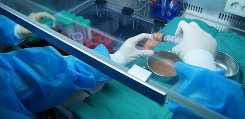 ���룡ʵ������֬����������ȫ��_����֬������