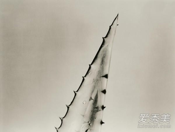 夏季晒伤了怎么办?12个方法快速修复_晒后修复