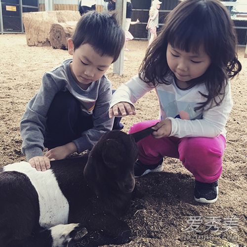 ����ǿ����Ů����Ƭ ����ǿ����˧�������_����ǿ��Ů����