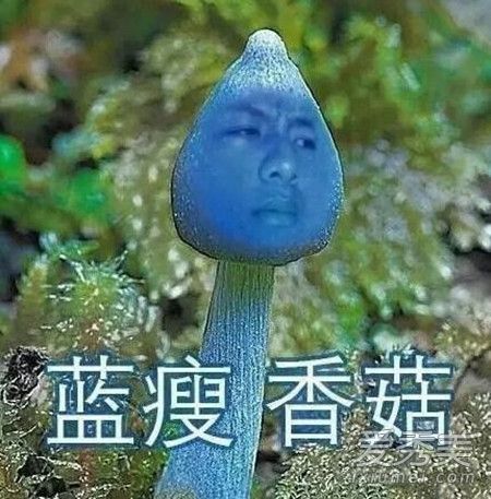 �����㹽��ʲô��˼�������㹽ȫ�ױ����_�����㹽�����