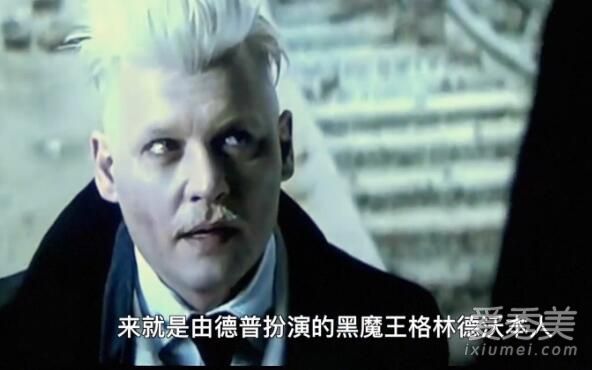 神奇动物与哈利波特的关系 高能彩蛋大整理_神奇动物在哪里彩蛋