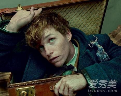 神奇动物与哈利波特的关系 高能彩蛋大整理_神奇动物在哪里彩蛋