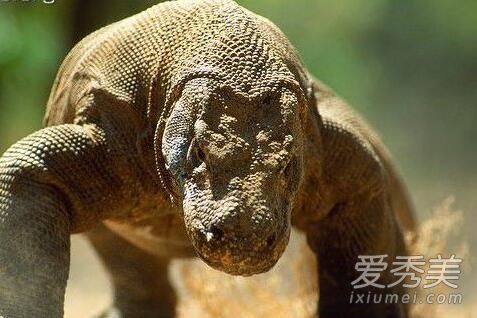 �������ѳ�ʲô�� ���ǵ�Ӱ������������Ƚ���_����ı��Ӱ