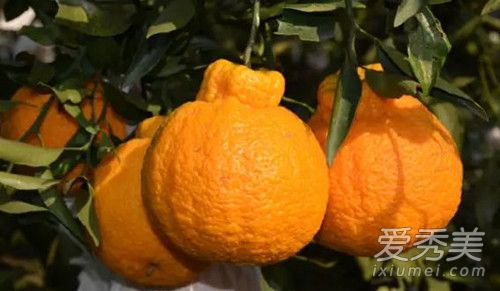 ����Ƥ�Ĺ�Ч������ ����Ƥ��������Ƥ��