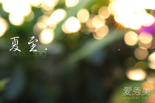 ���ĺ�������ʲô���� ���ĺ�����������