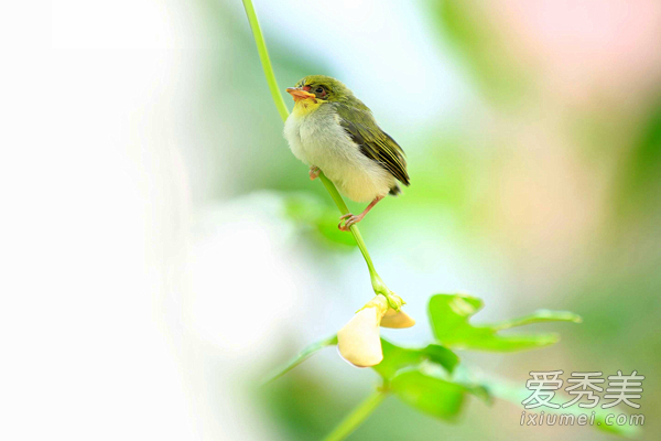 ���ĺ�������ʲô���� ���ĺ�����������