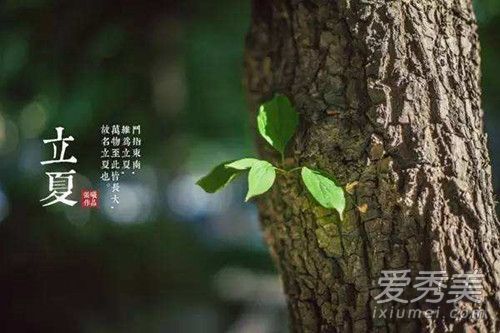 ���ĳ�ʲô�� ���ĳ�ʲô��ͳʳ�� ���ĳ�ʲô����