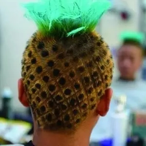 ��������ʲô��˼ ��������ʲô�� �����г�������