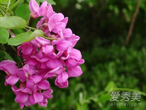 �ɻ�����ô��ɹ �ɻ�����ô���ó�